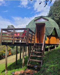 a tree house with a staircase leading up to it at Eclipse de luna Guatavita in Guatavita +18 photos