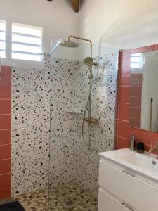 a bathroom with a glass shower with a sink at La villa Surette in Capesterre