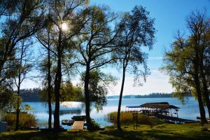 a view of a lake with a dock and trees at Žuvienės Pašiūrė in Rubikiai