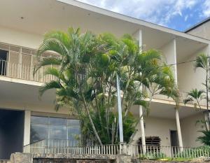 a building with palm trees in front of it at MGerais Hostel e Empório in Visconde do Rio Branco