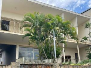a building with palm trees in front of it at MGerais Hostel e Empório in Visconde do Rio Branco