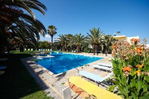 a swimming pool with two lounge chairs and palm trees at Lycasti Maisonettes in Tavronitis