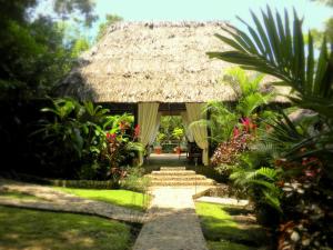 a path leading to a thatch roofed house with a thatched path at Table Rock Lodge in Cristo Rey