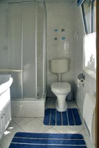 a bathroom with a toilet and a shower with a blue rug at Luzie's Hus in Freest