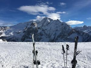 Gallery image of Appartamenti Chalet Orchidea in Canazei