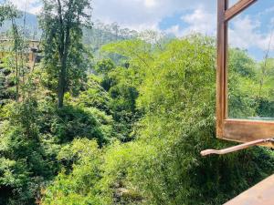 a view from a window of a forest at Pavis guest inn in Nallathanniya