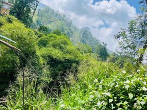 a lush green hillside with mountains in the background at Pavis guest inn in Nallathanniya