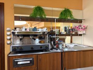 a kitchen with a stove and a counter with plants at Hotel OTDIH in Kavarna +71 photos