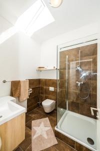 a bathroom with a shower and a toilet and a sink at Ferienwohnung Schantz in Roßdorf