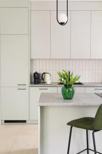 a kitchen with white cabinets and a potted plant on a counter at Apartament D&Z in Elblag +2 photos