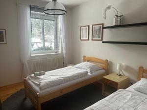 a bedroom with two beds and a window at Penzion Harvanek in Vlachovice