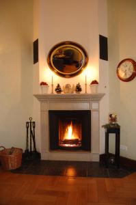 a living room with a fireplace and a mirror at Gutshaus Redewisch Hotel & Restaurant in Boltenhagen