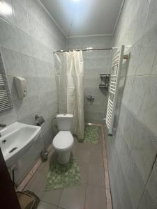 a bathroom with a toilet and a shower and a sink at Бордуляка 11 in Ternopil +4 photos