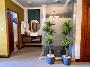 a bathroom with two potted plants and a mirror at Flamingo on Korsman in Benoni