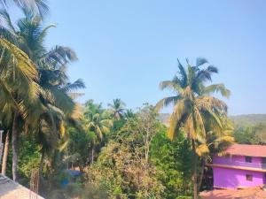 a group of palm trees in front of a pink building at Tree hugs mandrem in Mandrem