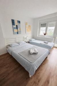 two beds in a room with two windows at Studio apartman ANNI, Self CHECK-IN in Osijek