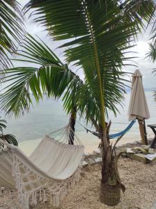 a hammock and a palm tree on the beach at Olive Ridly cottage in Romblon +10 photos