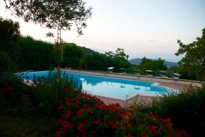 a swimming pool in a garden with flowers at Globetrotter in Formia +56 photos