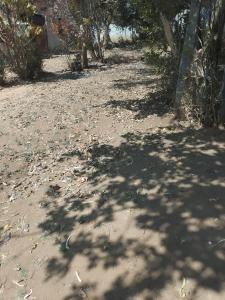 a dirt road with trash in the shade of a tree at Samarth hotel in Robertsonpet