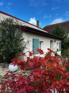 a white house with a blue window and red flowers at Domaine de la Mance - Maisonnette avec cheminée, bain nordique en supplément in Vitrey