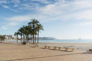 a beach with a row of benches and palm trees at Verdejo - Harbor's Light in Villajoyosa