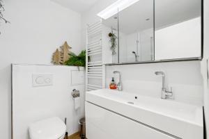 a white bathroom with a sink and a toilet at Schneerosenblüte Steibis mit O Plus in Oberstaufen +14 photos