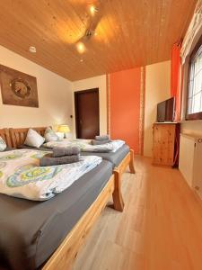 two twin beds in a room with a television at Ferienwohnung Buronia 2 in Kaufbeuren