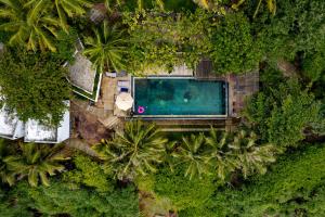 an overhead view of a swimming pool in a forest at Rumassala Villas in Unawatuna +71 photos