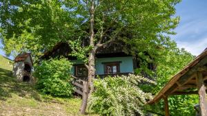 a house on a hill with a tree at Wine Hill House Trsek with Jacuzzi in Vinagora
