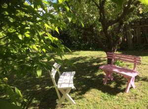 a bench and a chair sitting under a tree at Kookaburra Cottage in Castlemaine