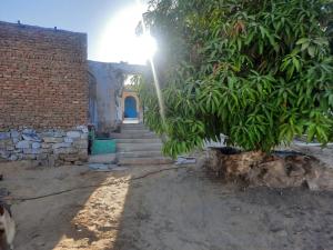 a tree in front of a brick building with stairs at Arman House in Aswan