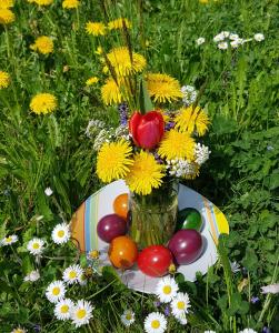 a vase filled with flowers and fruit on a table at Gardenia-Altach, 2-4 P, Küche, Garten, Terrasse, Parkplatz, Wifi, Ski Stellplatz in Altach +28 photos