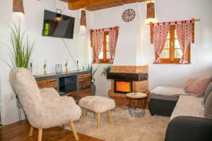 a living room with a couch and a fireplace at Wine Hill House Trsek with Jacuzzi in Vinagora