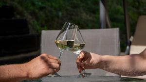 a person holding a glass of white wine at Wine Hill House Trsek with Jacuzzi in Vinagora +22 photos