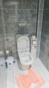 a bathroom with a toilet with a pink rug at Hibe Dede Konak in Ürgüp +46 photos