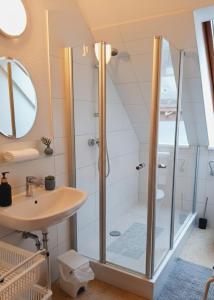 a bathroom with a shower and a sink at Die Malche Gäste und Tagungshaus Villa App 13 in Alaunwerk