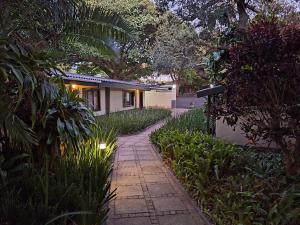 a house with a pathway in front of a house at Shore Breakers in Shelly Beach