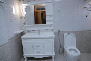 a bathroom with a toilet and a sink and a mirror at Abat property Rental in Addis Ababa +15 photos