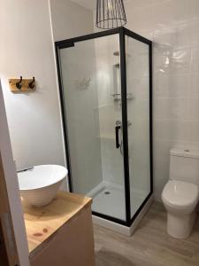 a bathroom with a shower and a sink and a toilet at La Pause Bonheur La Campagnarde in Luc-sur-Orbieu