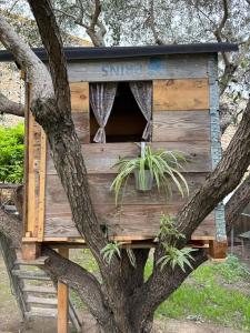 a tree house in a tree with plants in it at La Pause Bonheur La Campagnarde in Luc-sur-Orbieu