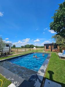 a group of people swimming in a swimming pool at Glamping met paarden in Nieuwerkerken
