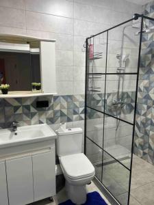 a bathroom with a toilet and a sink and a shower at Апартаменти біля АС-1 Зацепи in Lutsk