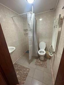 a bathroom with a toilet and a sink at Бордуляка 11 in Ternopil +9 photos