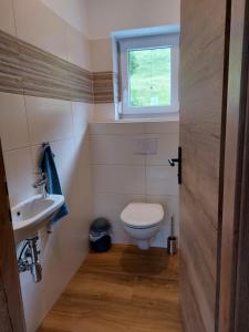 a bathroom with a toilet and a sink and a window at Ferienhaus Skarbina in Zell-Pfarre