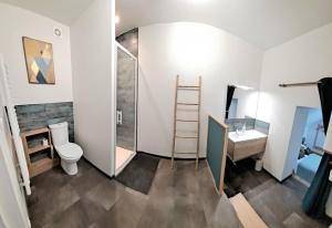 a bathroom with a shower and a toilet and a sink at Aux Rives Tranquilles, appartement bord de Loire avec vue in Les Rosiers