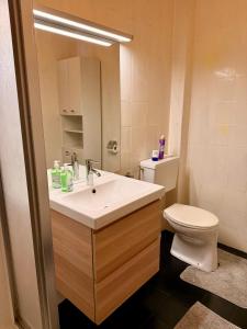 a bathroom with a sink and a toilet at Ferienwohnungen Pernull in Waidegg +22 photos