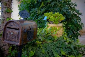 an old rusty mailbox sitting next to a bush at Studio in Historic Birgu in Birgu