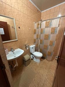a bathroom with a toilet and a sink and a shower at Бордуляка 11 in Ternopil +11 photos