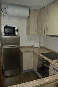 a kitchen with a refrigerator and a microwave at Apartamentos Rosi in Benicarló