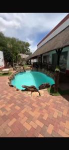 a large swimming pool in front of a building at Tourmaline GuestHouse in Windhoek